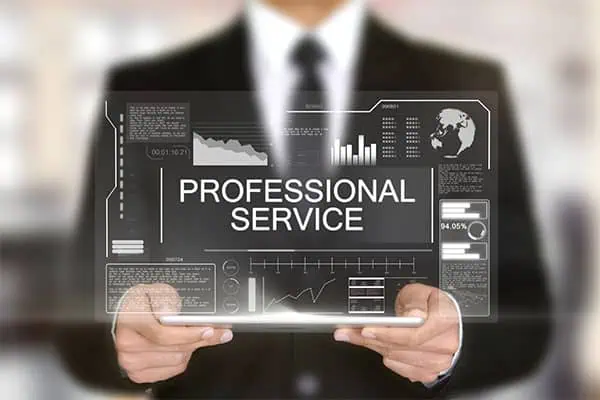 Professional Services Icon